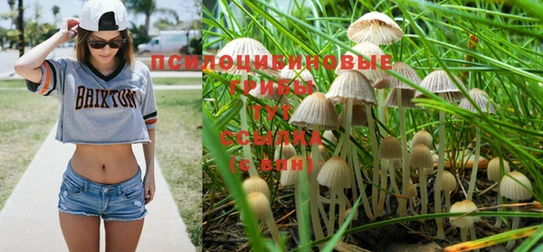 mdpv Белоозёрский