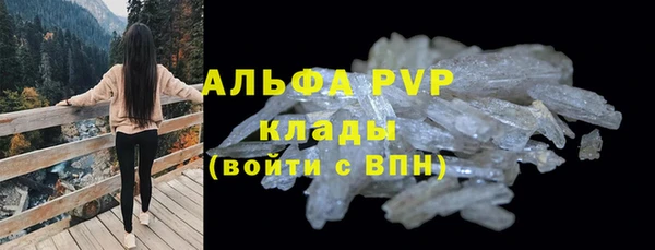 PSILOCYBIN Белокуриха