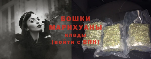 PSILOCYBIN Белокуриха