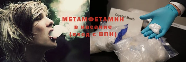 PSILOCYBIN Белокуриха