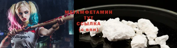 PSILOCYBIN Белокуриха