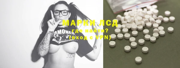 PSILOCYBIN Белокуриха
