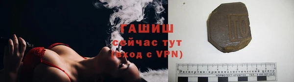 PSILOCYBIN Белокуриха
