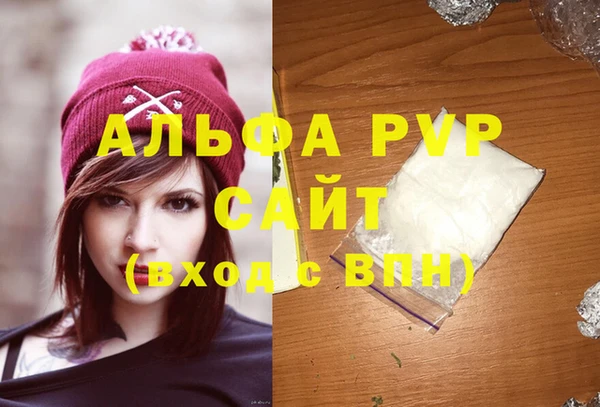 PSILOCYBIN Белокуриха