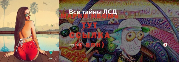 PSILOCYBIN Белокуриха