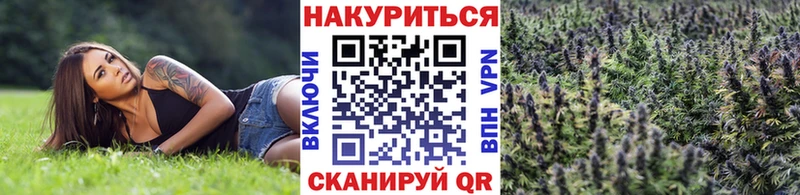 цена   Саранск  МАРИХУАНА планчик 